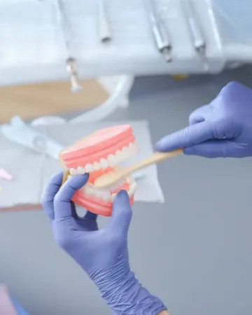 Mani coi guanti mostrano con lo spazzolino come lavare i denti, su un modello